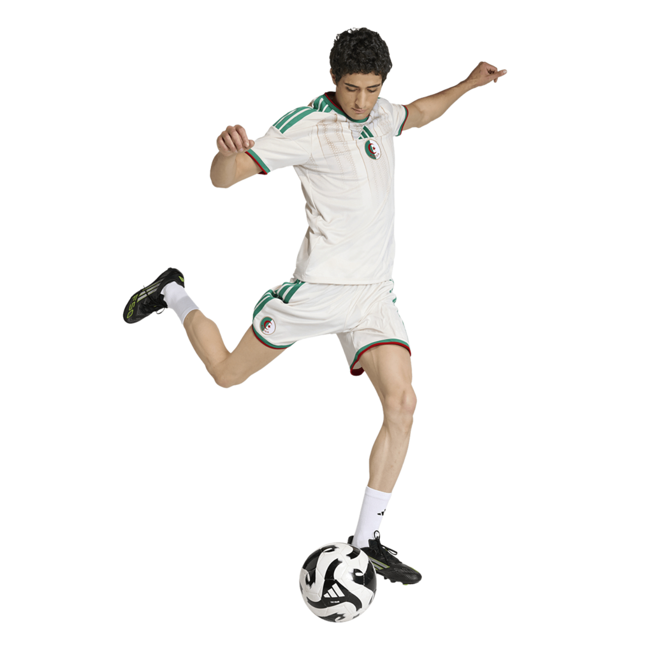 adidas Algeriet 26 Hjemme Replica Shorts