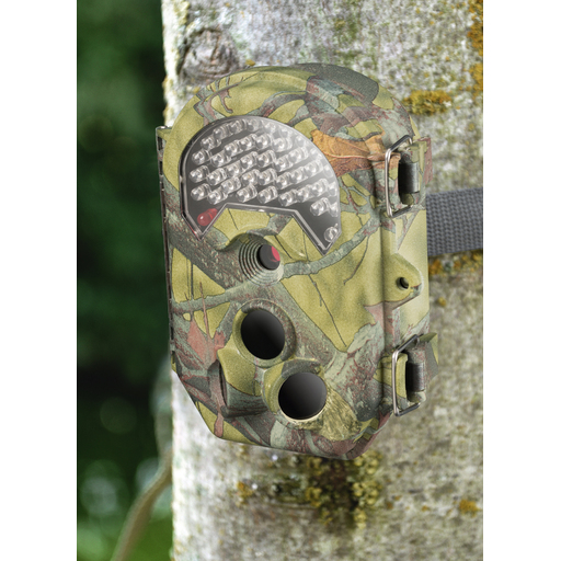  Caméra Trampeo 120º Full Hd 16 Mpx Bresser Invisible Al Ojo Humano