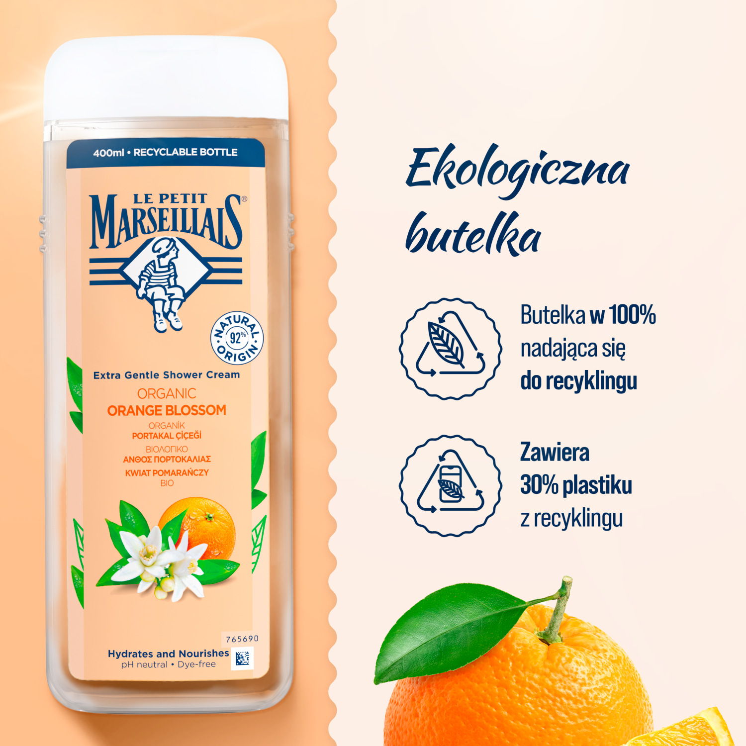 Micul Marsiliez