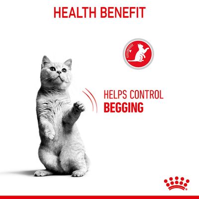 Royal Canin Appetitkontrolle
