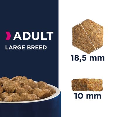 Eukanuba Adult Large Breed - Huhn