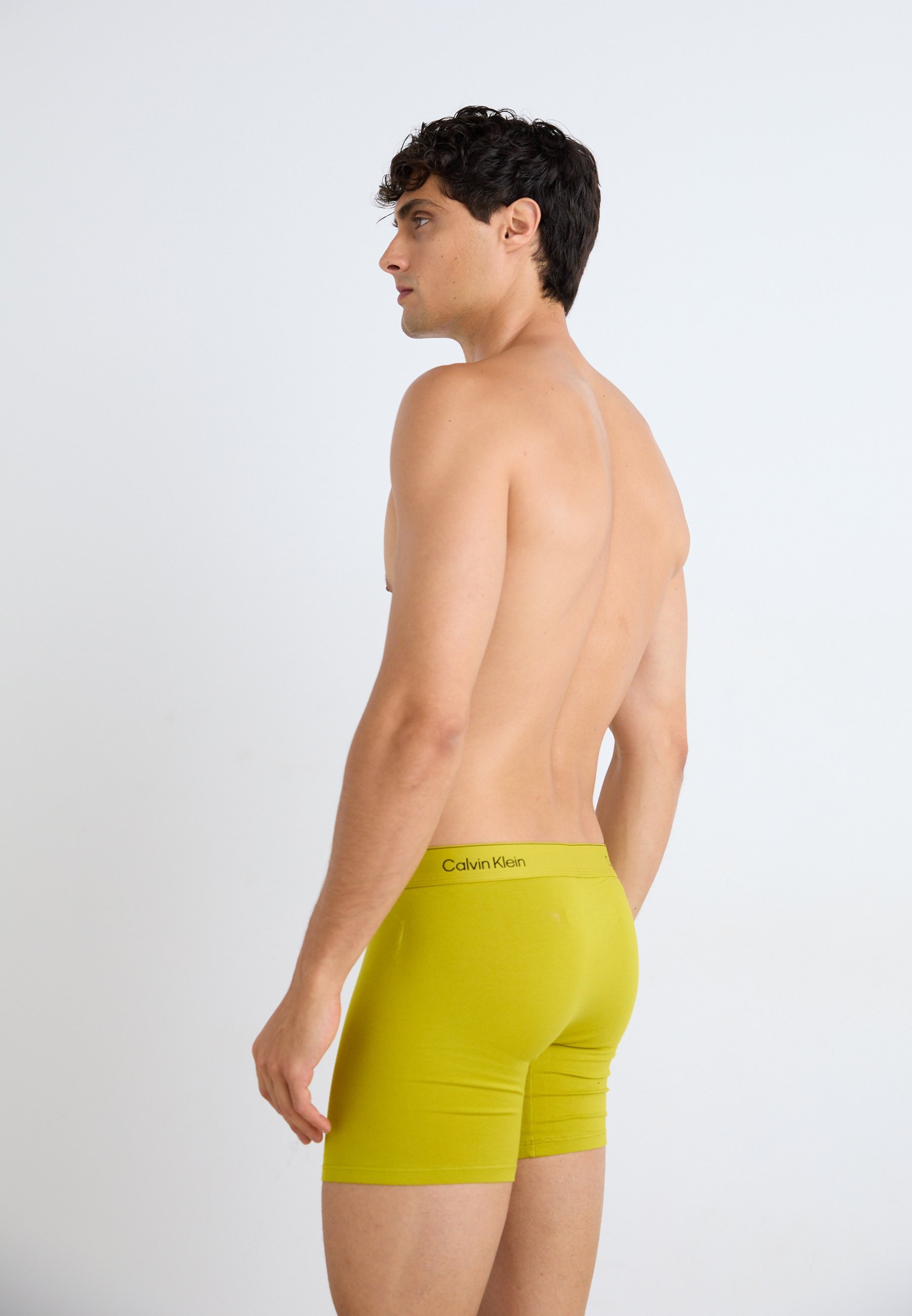 Calvin Klein Underwear BOXER BRIEF 3 PACK ICON COTTON STRETCH - Bokserit - capri rose, grey heather, antqu moss