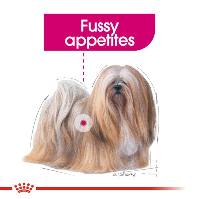 Royal Canin Mini Demanding