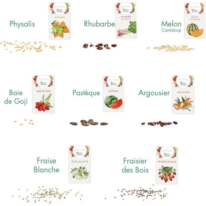 Fruit seed set: premium quality fruit vegetable seeds with 8 varieties of fruit plants for the garden