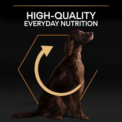 PURINA PRO PLAN pro dospělé atletické osoby s velkým obsahem tuku