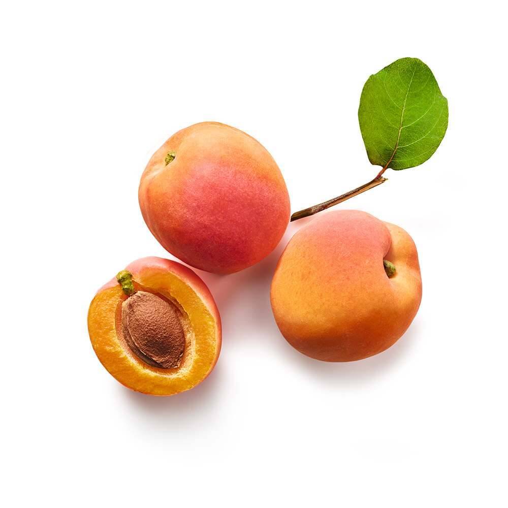 Abrikozenplantenstruik