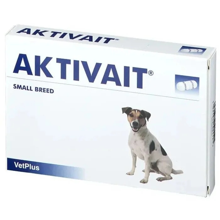 Aktivität für kleine Rassen 6Cpr