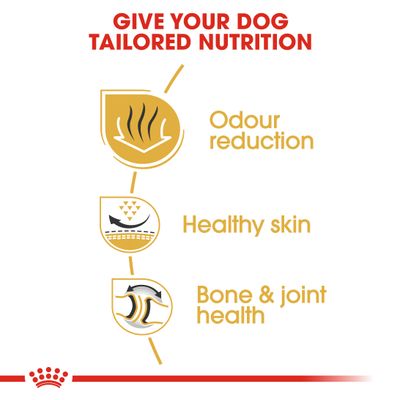 Royal Canin Bulldog Adult