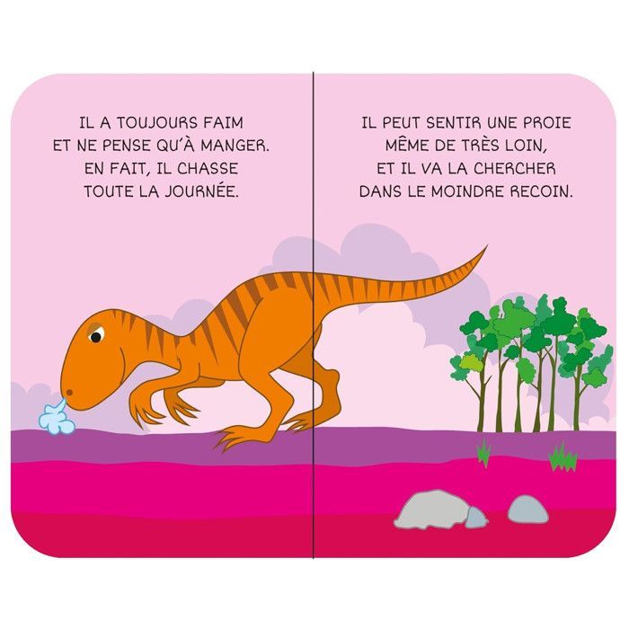 Ma Petite Bibliothèque - Sassi Junior - Les Dinosaures - 8 petits livres illustrés - Couleur principale: Noir