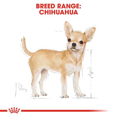 Royal Canin Chihuahua Loaf