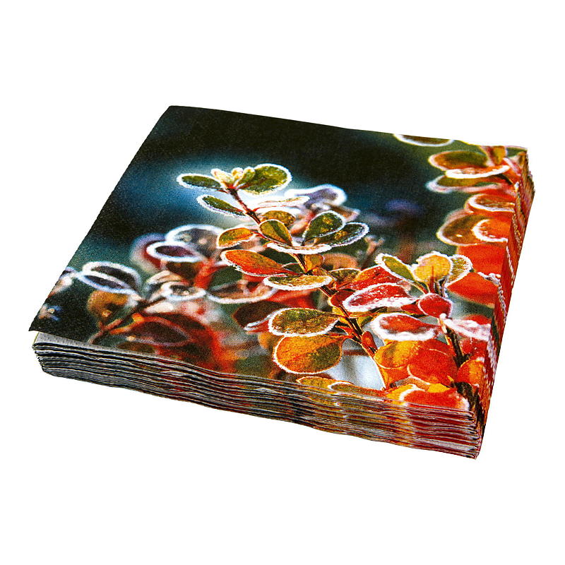Vie Eco Servetten, 20 stuks, 33x33 cm, Winter