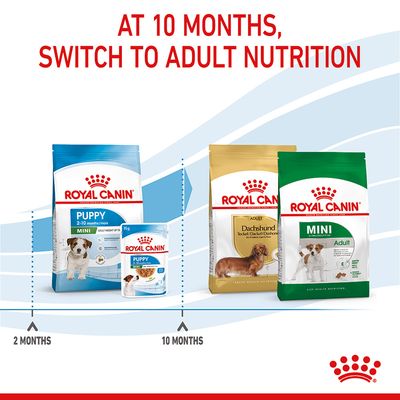 Royal Canin Mini Puppy kutyatáp