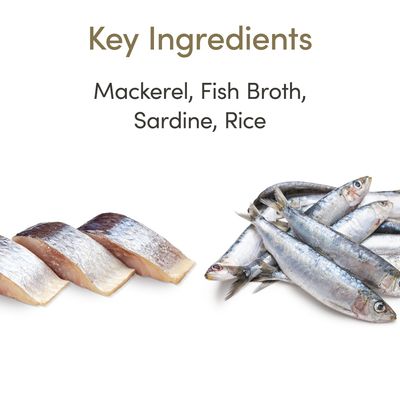 Applaws Dosenfutter für ausgewachsene Katzen, Thunfisch/Fisch in Brühe, 156 g
