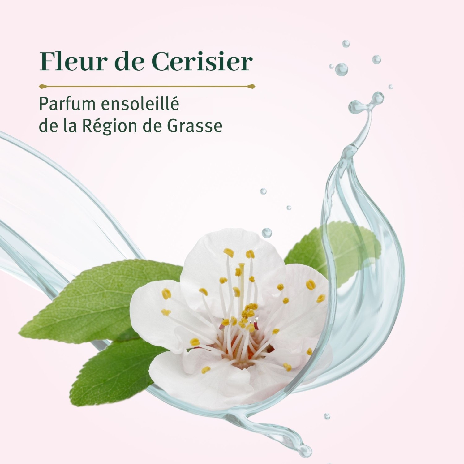 Le Petit Olivier 2 Savonnettes Extra Douces Fleur de Cerisier