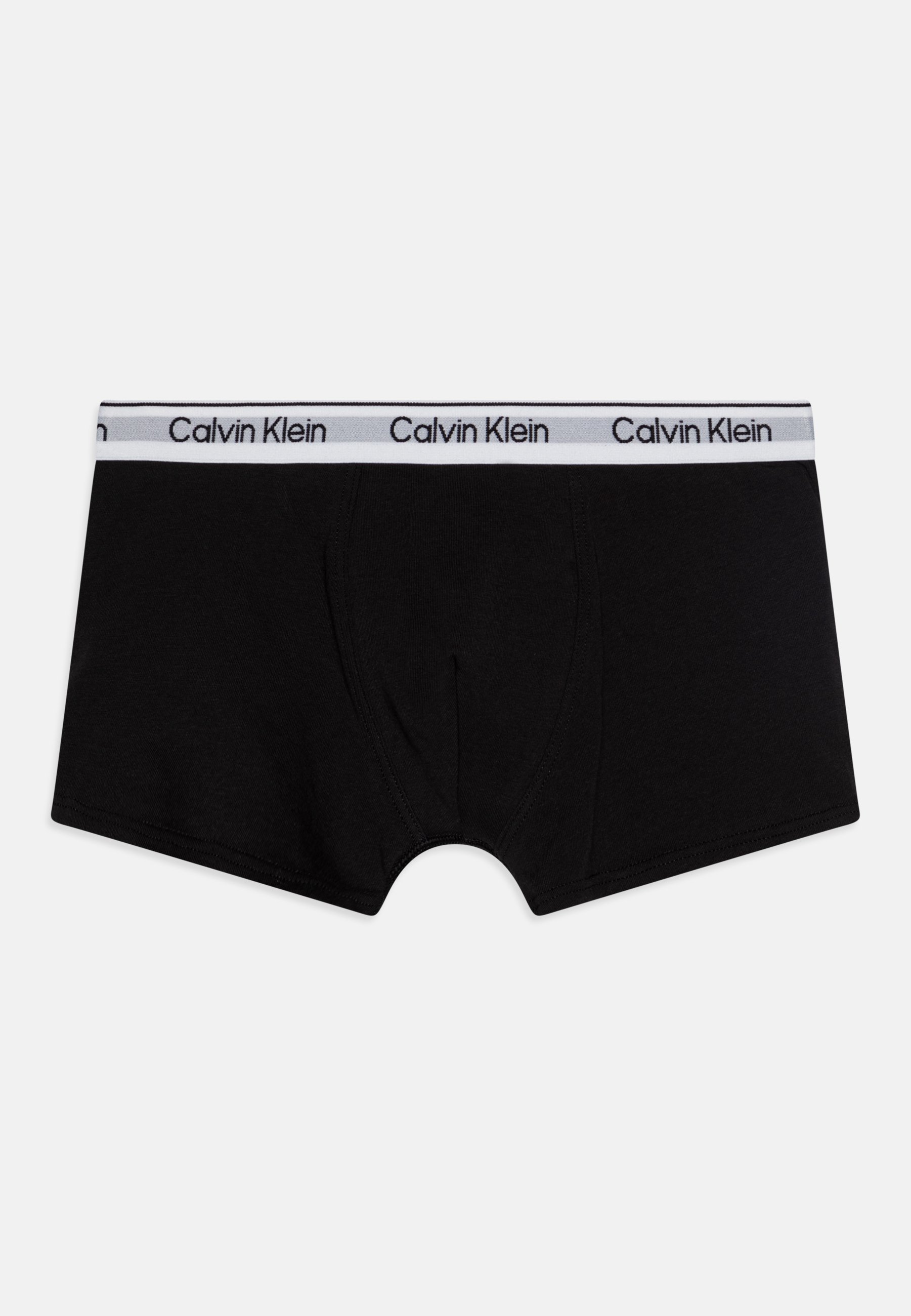 Calvin Klein Underwear TRUNK 2-PACK - Broekjes - zwart/zwart iris