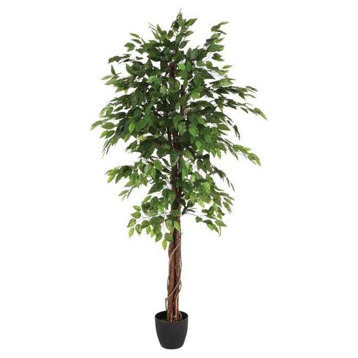 Ficus artificiel 