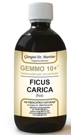 DR. GIORGINI Fico 500 ml Liq Analco Gemmo10+ Für Kinder geeignet