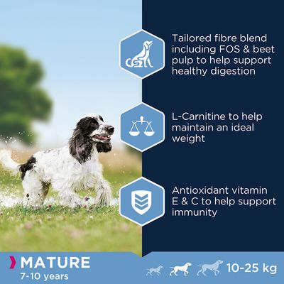 Eukanuba Bloeiende Volwassen Middelgrote Kip