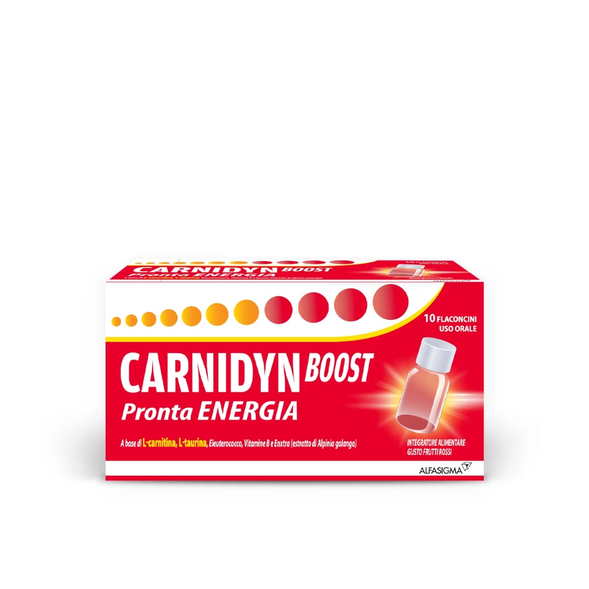 CARNIDYN Carnidyn Boost 10 bouteilles avec sucre