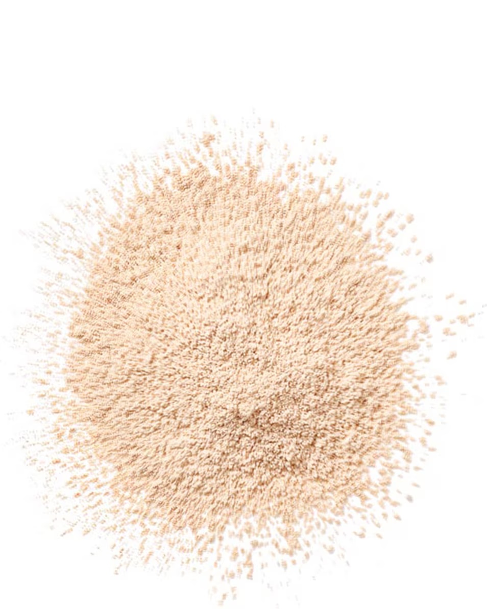 CLINIQUE BLENDED FACE POWDER LOOSE POWDER