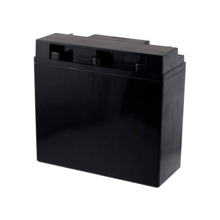Fiamm - Batterie plomb AGM FG21803 12V 18Ah M6-M-Fiamm