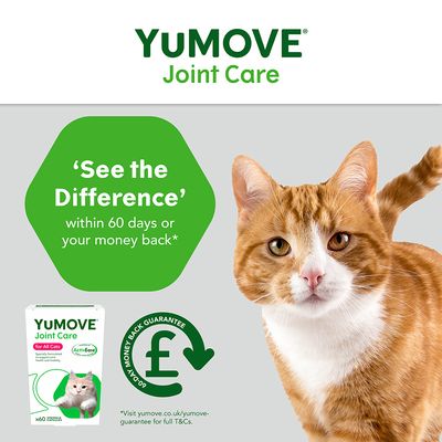 YuMOVE Joint Care dla wszystkich kotów