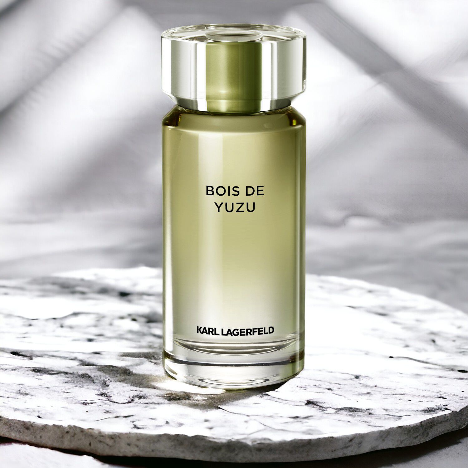 Karl Lagerfeld Eau de Toilette pour Homme 100ml Bois De Yuzu