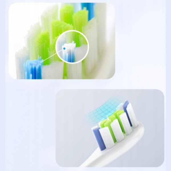 Oclean