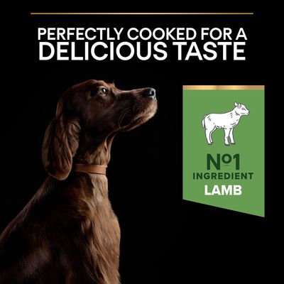 PURINA PRO PLAN Large Adult Athletic Lamb & Rice Sensitive Digestion