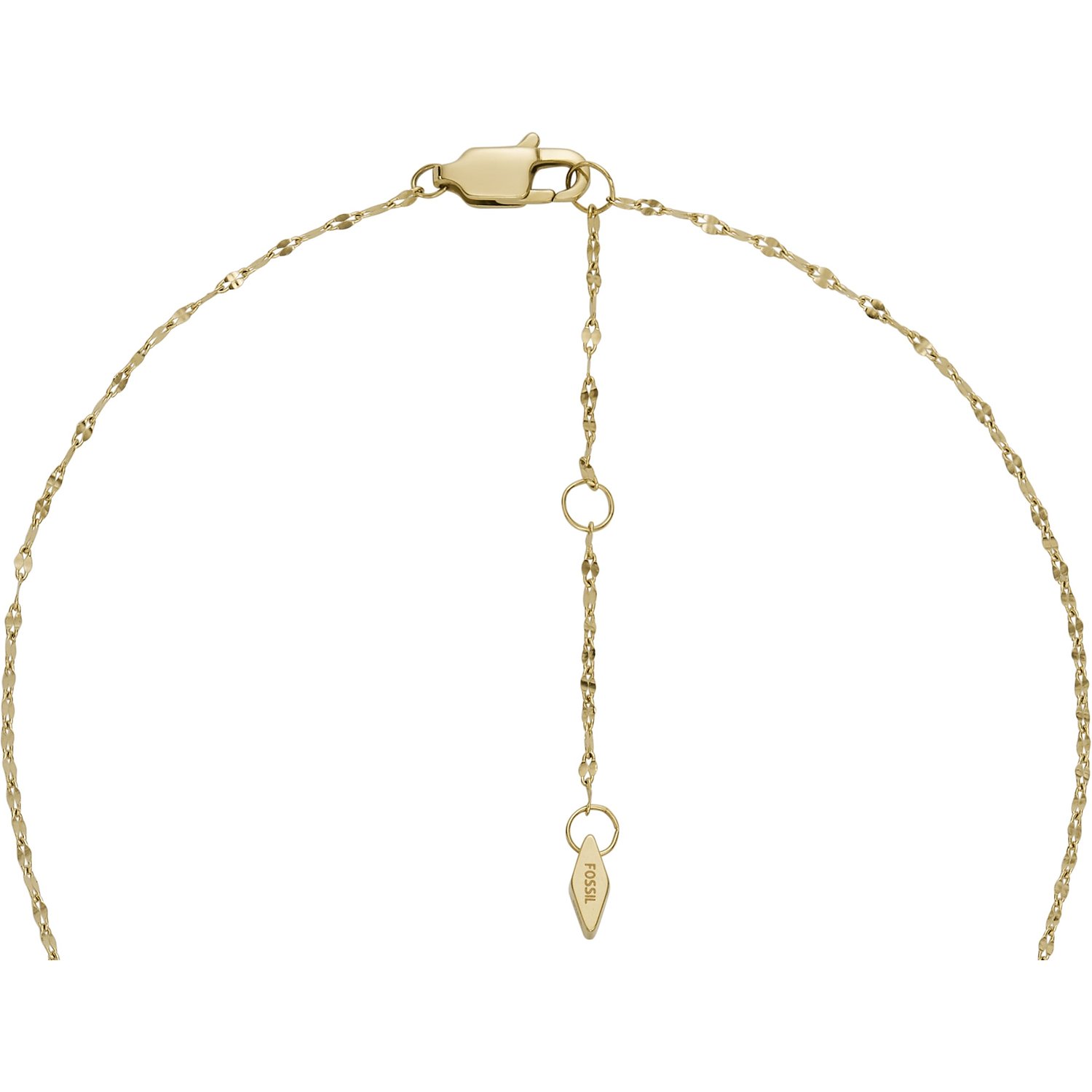 Fossil Chaînes