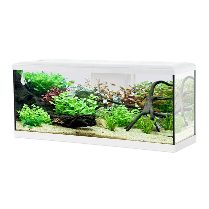 Tana LED acuario para peces 100cm blanco - Zolux Blanco
