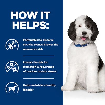 Hill's Prescription Diet Canine c/d Urinary Care Stew – kurczak