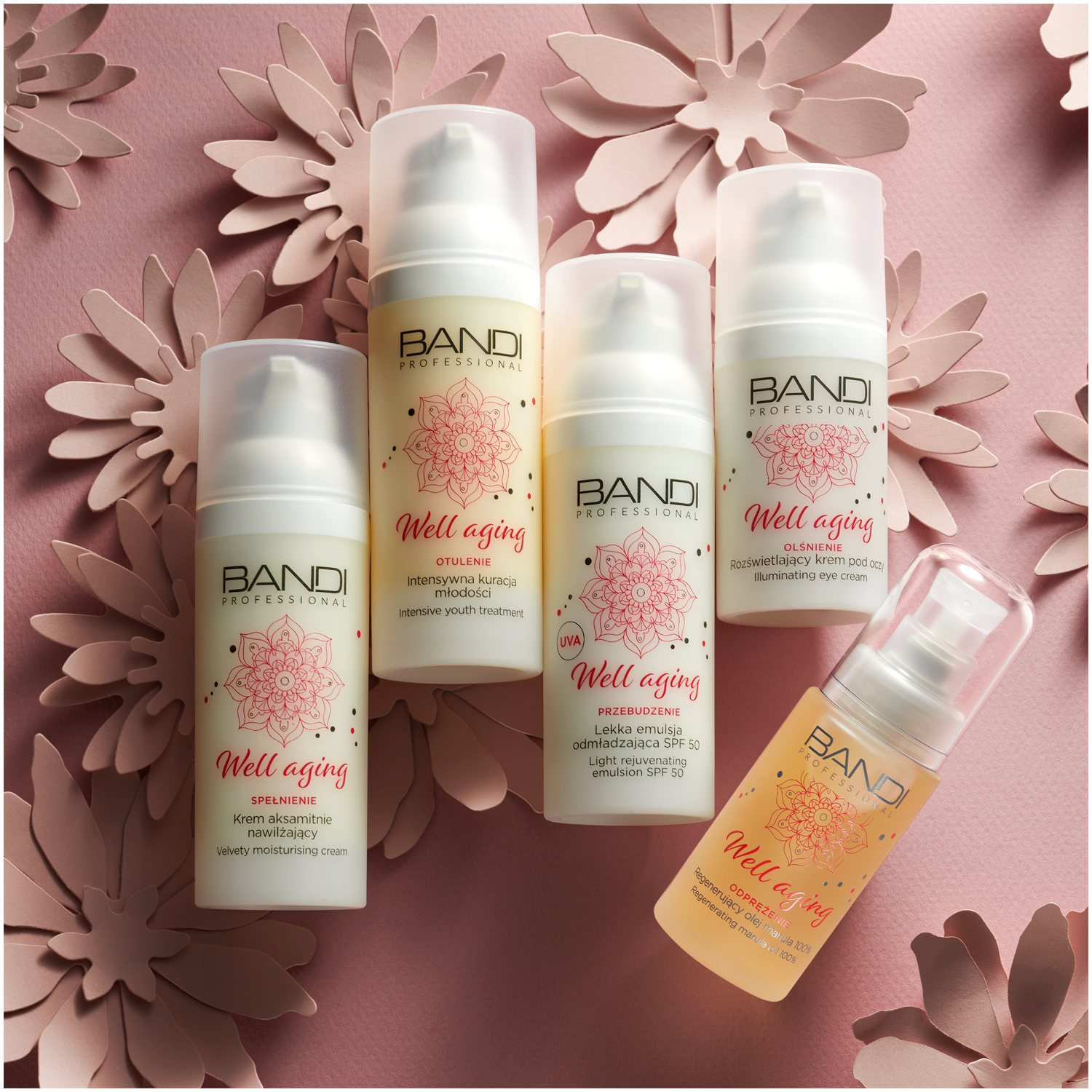 Bandi Professional Well Aging