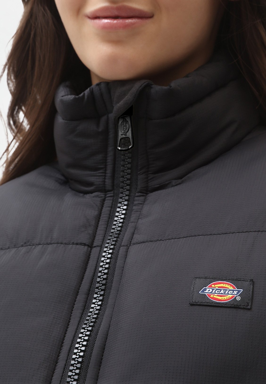 Vestes d'hiver Dickies