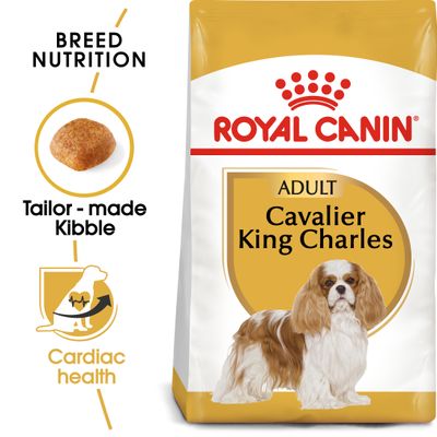 Royal Canin Cavalier King Charles Spaniel (Erwachsener)