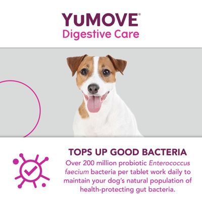 YuMOVE Soins digestifs pour tous les chiens