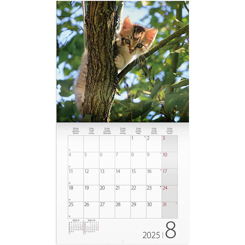 Wandkalender met katten 2025