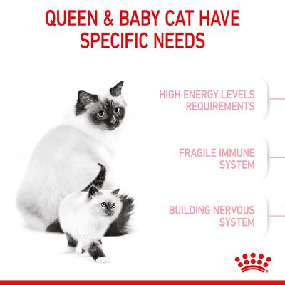 Royal Canin Μητέρα & Μωρό Γατάκι