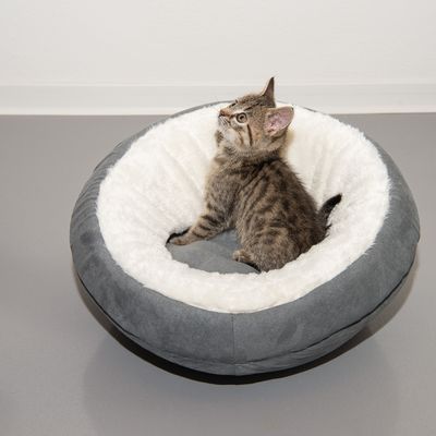 Cry Cat Den