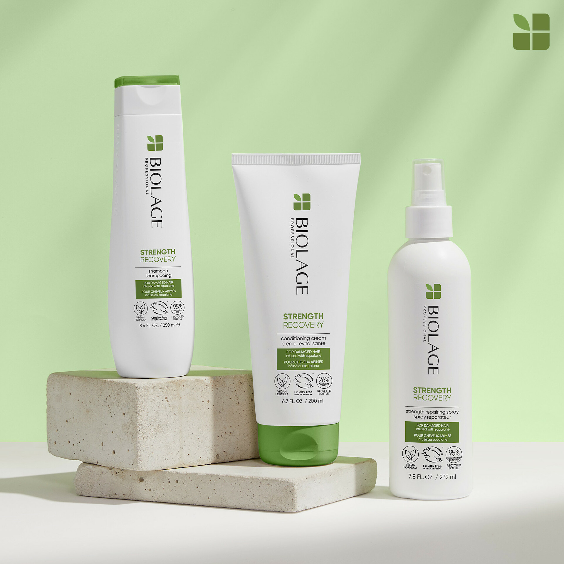Šampon za obnovu snage 250 ml - Biolage