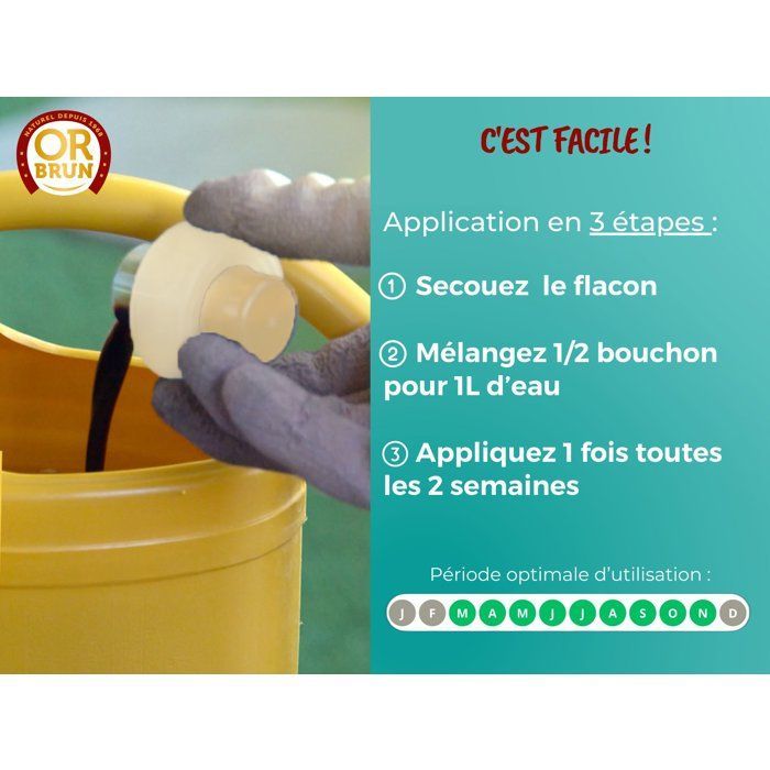 Engrais bonsaïs - OR BRUN - OBRECLBONSAI250 - 250 ml - Améliore et favorise la croissance - Fabriqué en France