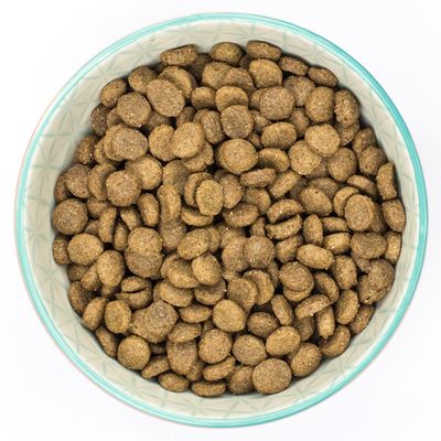 Burns Senior+ Spielzeug- und Kleinrassen - Huhn & Naturreis