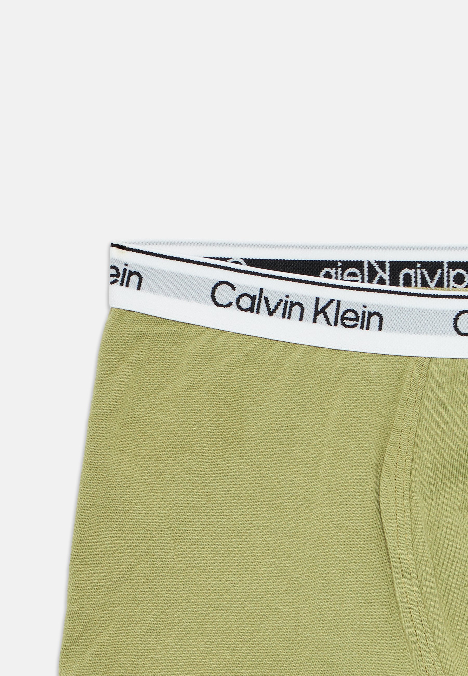 Calvin Klein Ondergoed 3-PACK - Broekjes - tijm/ceder/witkapgrijs