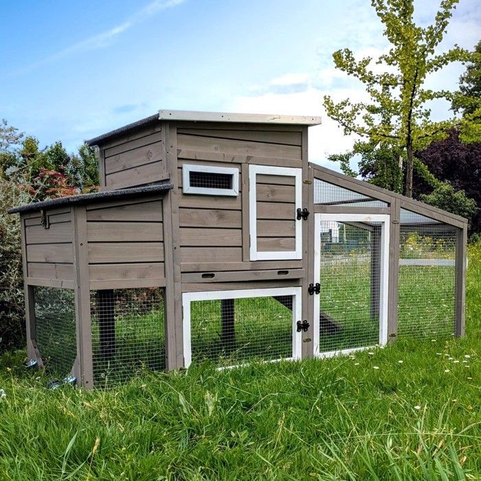 Poulailler mobile Sunny toit shingle et polycarbonate jusqu'à 6 poules Gris