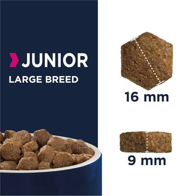 Eukanuba vyvíjí mladé velké a obří plemeno kuřat