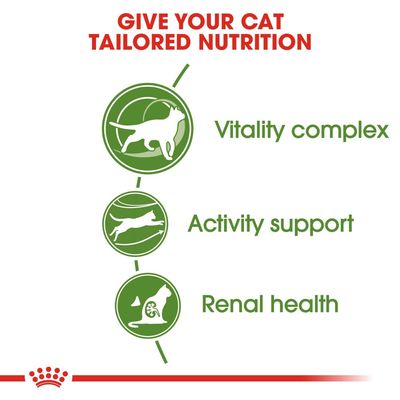 Royal Canin Outdoor 7+
