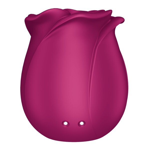 Satisfyer Pro 2 Classic Blossom Air Pulse Vibrator<br>