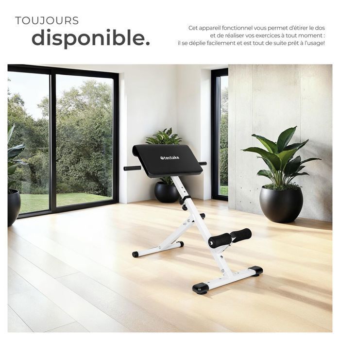 Banco de pesas - TECTAKE - Máquina de ejercicios para espalda y abdominales COLEMAN - Negro/Blanco