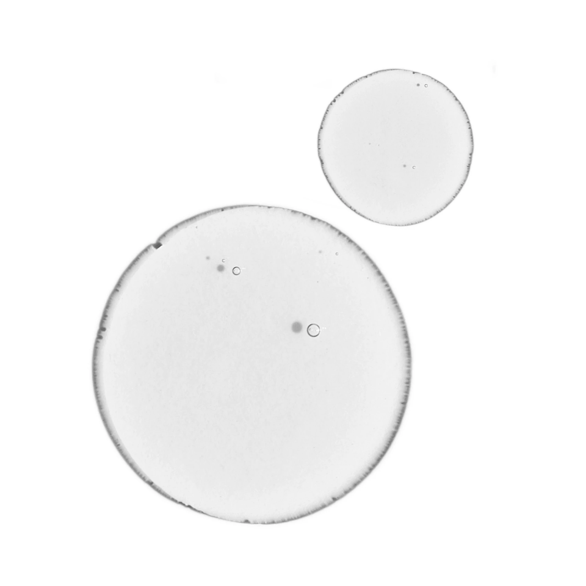 Kiegyensúlyozó és tisztító szérum 30 ml - The Ordinary