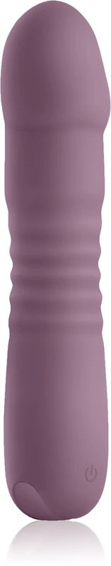 NS Novelties Lust-n-Dreams Poise vibratorius